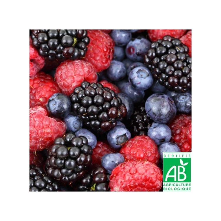 Mélange de Fruits des Bois Bio Mélange de Fruits des Bois Bio